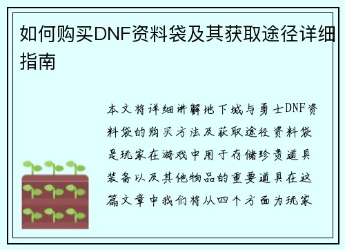 如何购买DNF资料袋及其获取途径详细指南